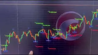 OX Indicator Signals Result by Bukhari Academy