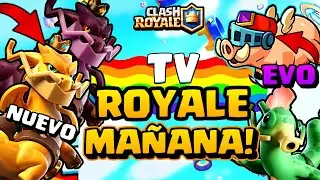NEW DRAGON!, Royal Pigs EVO and the hidden curiosities of Clash Royale!