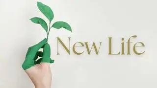 New Life Relaxing Meditation Music for Stress, Anxiety & Deep Sleep | Healing Mind, Body & Soul