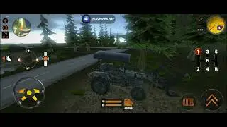 Truck driver floresta