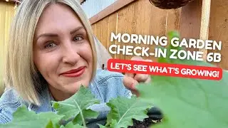 Vegetable Garden Update | March 26, 2025