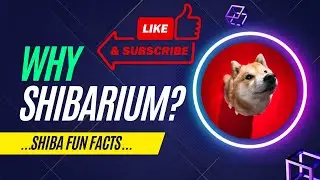 Shiba Fun Facts - Shiba Inu Ecosystem - Why Shibarium?