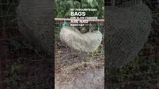 Why You Should Get Your Horse A Slow Feed Hay Net