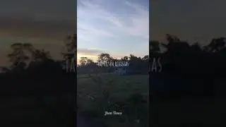 Umbrella - Ember Island [WhatsApp Status] Sub. Spanish