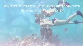 Begin Your Island Life with Roat&aacute;n Life Real Estate