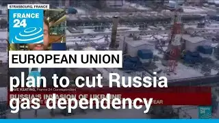 EU rolls out plan to cut Russia gas dependency this year &bull; FRANCE 24 English