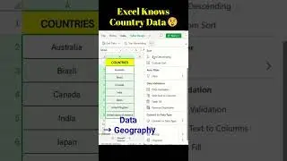 Geography Feature in Excel - How to Use Map Chart in Excel workbook #shorts #excel #exceltips #viral