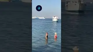 Terrifying footage from Hurghada of a woman standing while a shark swims around her