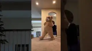 Go 🧸 Teddy