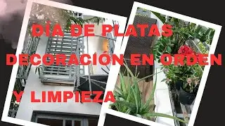 DÍAS DE PLANTAS///Y DECORACIÓN EN ORDEN🎀🕰️🎀///Y LIMPIEZA///🌳🌸🌷