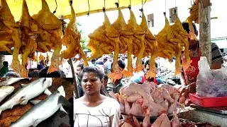 Worlds Largest Seafood Market India | Amazing Big Shark Fish Chopping | Biggest Fish Markets