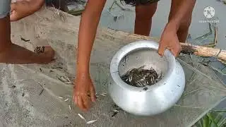 Best Mud water fishing//Eel fish searching Under Mud water))