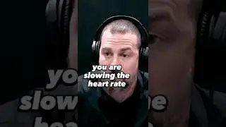 how to affects your heart rate by breathing🔥 Andrew D. Huberman #shorts #selfcare #motivation