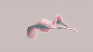 MyndScape Animation