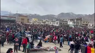 Ladakh Winter festival 2023 #lehladakh #leh #colddesert
