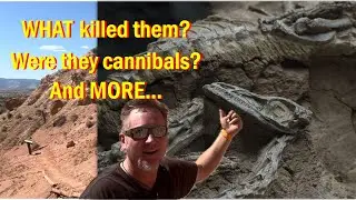 10 Groovy Facts: controversial Coelophysis bonebed at Ghost Ranch, New Mexico