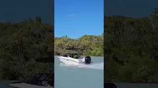 #raeline #raelinebuilt #premium #nzboating #boatingnz #bowrider #sportsboats #akaroa #harbour