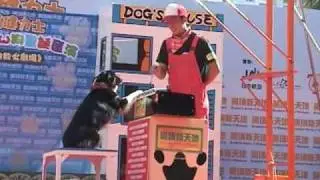 Wow Wow Dog Circus in Hong Kong