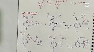 Von Richter Rearrangement, Sommlet hauser Rearrangement