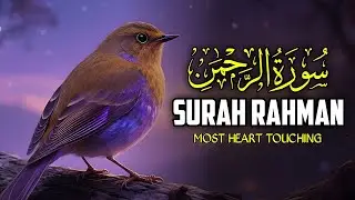 World's Most Beautiful Recitation: Surah Ar-Rahman | Remove Anxiety | Qari Zain Abu Kautsar