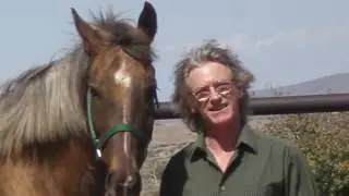 My Medley by Bob
