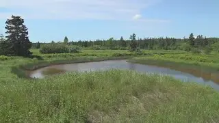 Maine sues NOAA over canceled $9M grant awarded to state marine agency