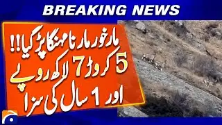 Mastung Case: 1 Year Jail & Heavy Fine for Illegal Markhor Hunt | Breaking News