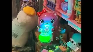 Science Bear Teacher Mr.Bear 