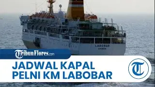 Jadwal Kapal Pelni KM Labobar November 2025, Besok Dari Banda ke Ambon, Jumat Tiba Makassar
