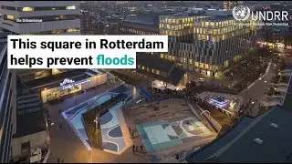 Smart urban water management: Benthemplein water square in Rotterdam