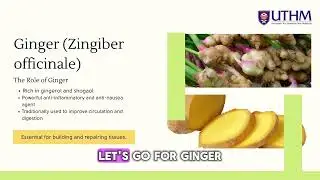 HARNESSING THE POWER OF CURCUMIN, LEMONGRASS AND GINGER FOR WOMEN&rsquo;S HEALTH