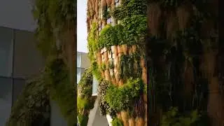 A house with a lively green facade. Futuristic house with plants on the facade of the house