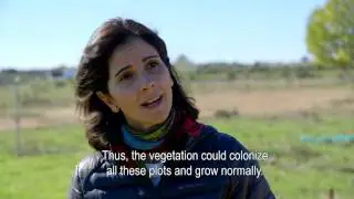 The soil threat of Contamination