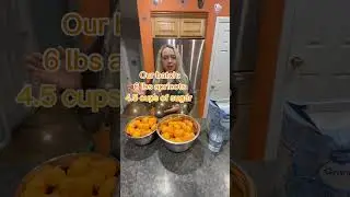 How to make apricot jelly #apricot #jam #jelly