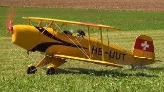 B&uuml;cker BU-131 with SMOKE-EFFECT Scale RC Airplane A.L.K Flightday 2017