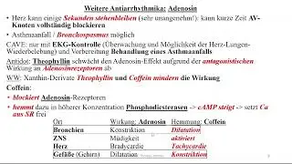 Antiarrhythmika: Herzglykoside, Adenosin, Magnesium