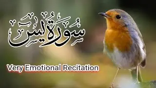 Surah Yaseen (Yasin) Full | Ep 024 | Most Beautiful Recitation | سورہ یٰس | Quran Tilawat |