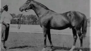 My List of the Top 10 Thoroughbred Champions of all-time