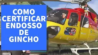 COMO FAZER CERTIFICA&Ccedil;&Atilde;O DE ENDOSSO DE GUINCHO NO FS2024