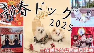【新春ドッグ2025🎍】色んな出会いに感謝‼︎ 新春イベントが最高に楽しかったです‼︎