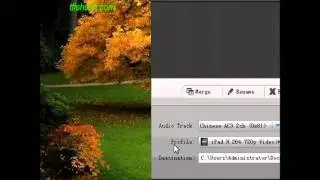 watch DVD on Samsung Galaxy Note3