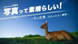 一年の記憶 ~忘れられない瞬間~　写真の力ってすごい！【今年もありがとうございました！】