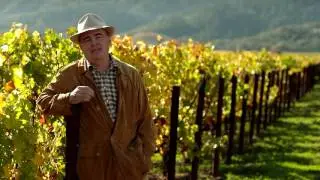 История Riedel: Производитель Бокалов для Вина и изделий из стекла