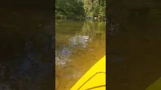 tranquility on the creek. #liquidlogic #kayaks #floating #relaxing