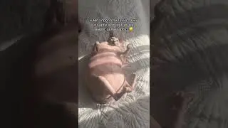 ПОЕЛ | tiktok: koshkaklepaa