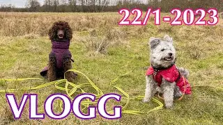 Hundvlogg 22/1-2023