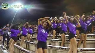 Darlington High School Marching Falcons - I Choose You and Middle Child 2019