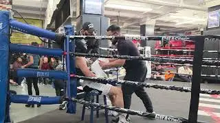 Woodside Boxing At Glensons Gym 