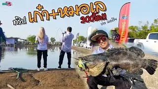ทริปตกปลาหมอทะเล และ เก๋า 300โล!! บ่อแอเรีย