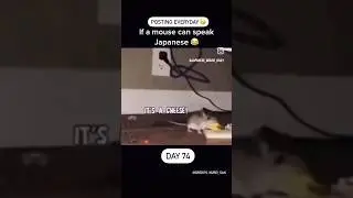 mouse🐁&times;japanese dub #japaneselanguage #japanesedub #mousetrap #japanese #mouse #anime #short #viral